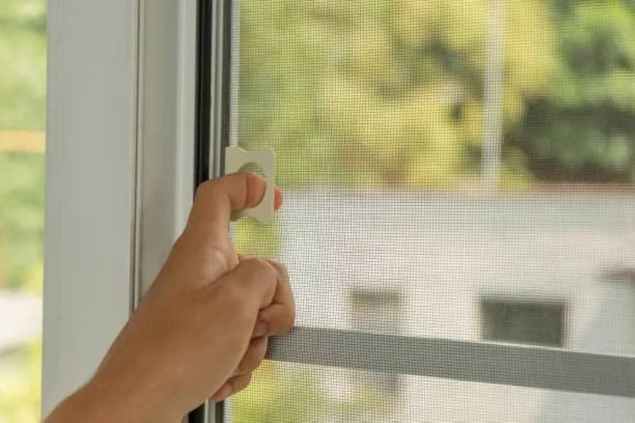 How Long Do Mosquito Nets Last?