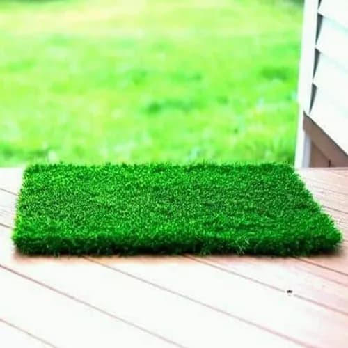 Choosing the Best Artificial Grass: A Comprehensive Buyer's Guide
