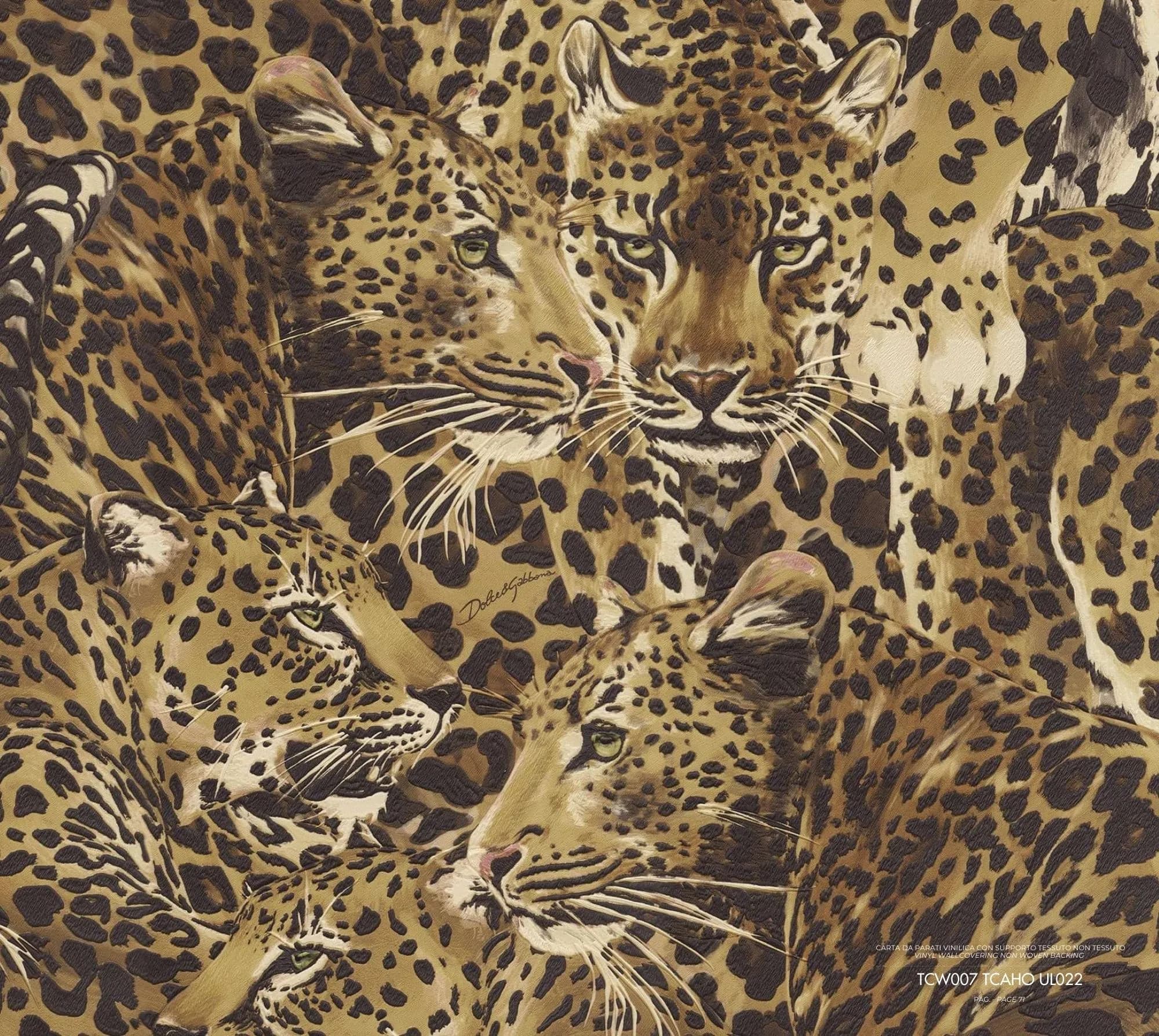 Dolce & Gabbana Wallpaper TCW007 TCAHO UL022