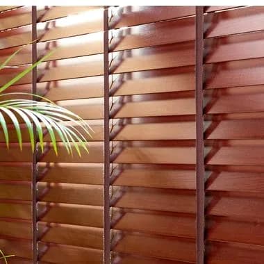 Blinds For Windows