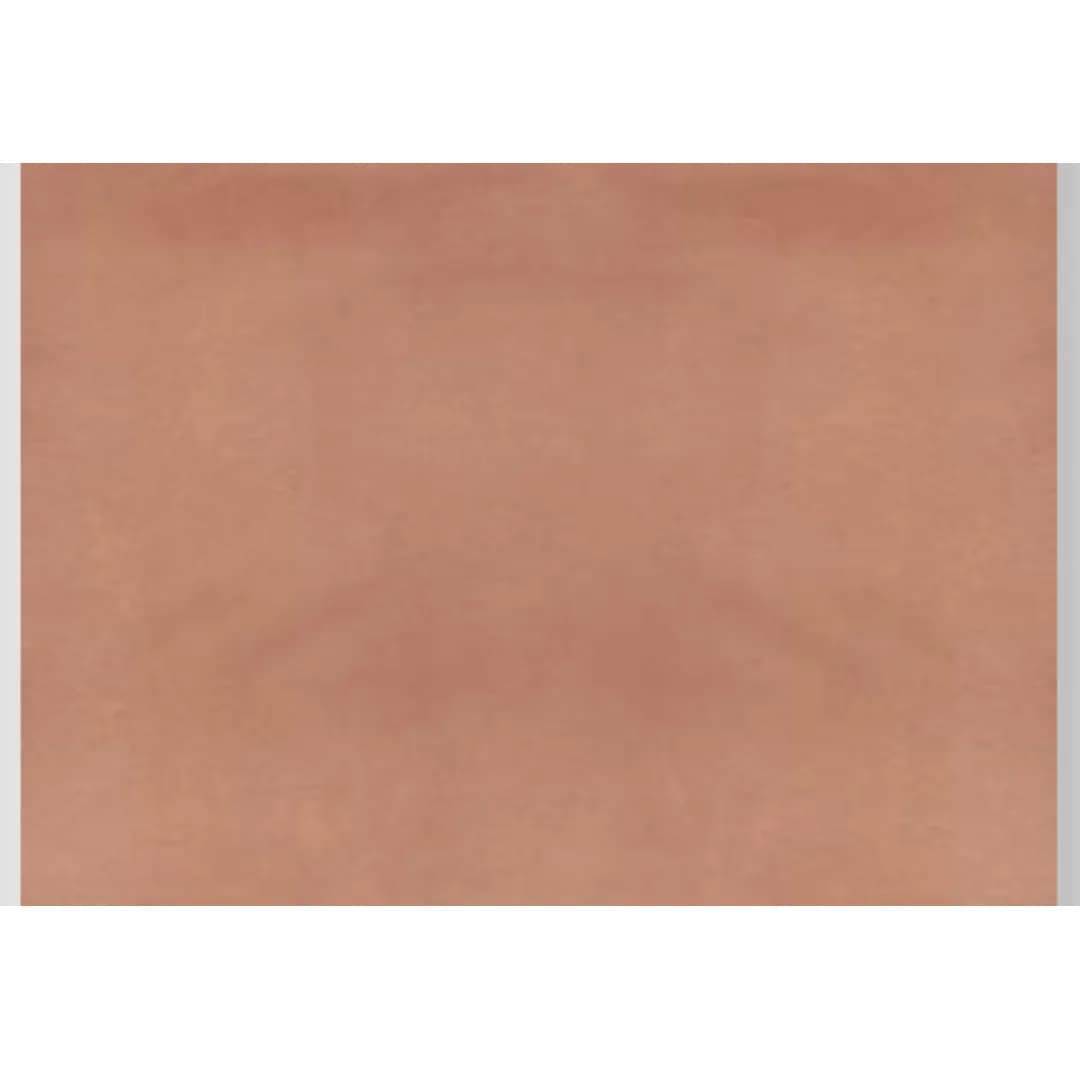 BAKSHI-APRICOT 112354 - Premium Apricot Delight