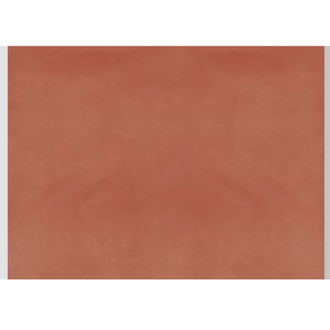 BAKSHI-SALMON 112226 - Elegant Salmon Plant