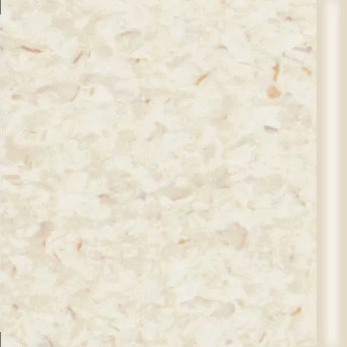 SMO 5207 Clam