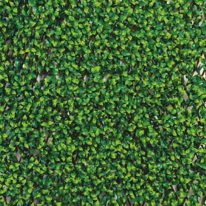 Fyne Surfaces Fyn6021e