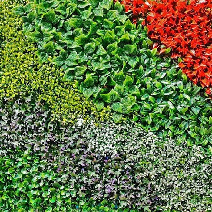 Vertical Garden LR002