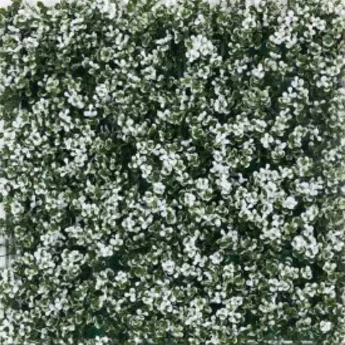 RKS Artifical Grass RKS-32