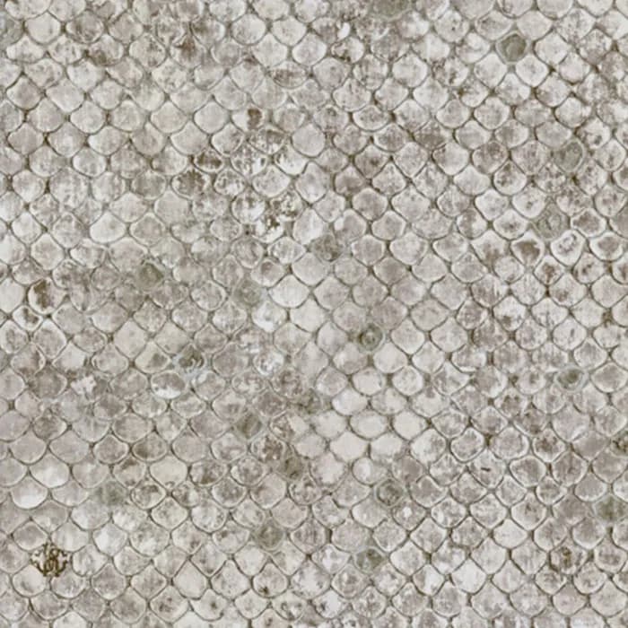 Roberto Cavalli- Luxury Wallpapers And Fabric _p - Rc17108