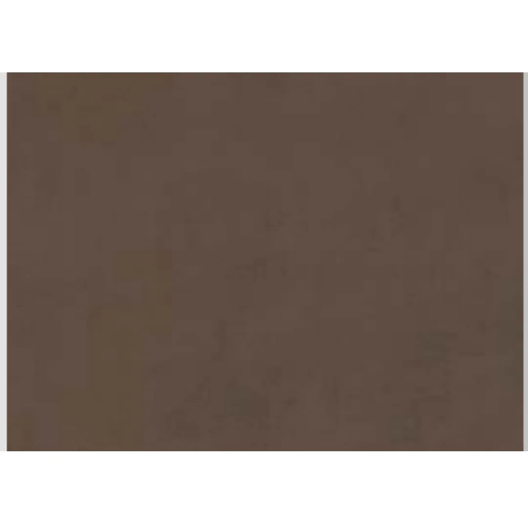 BAKSHI-VARMGRA 112396 - Premium Variegated Grass for Vibrant Landscapes