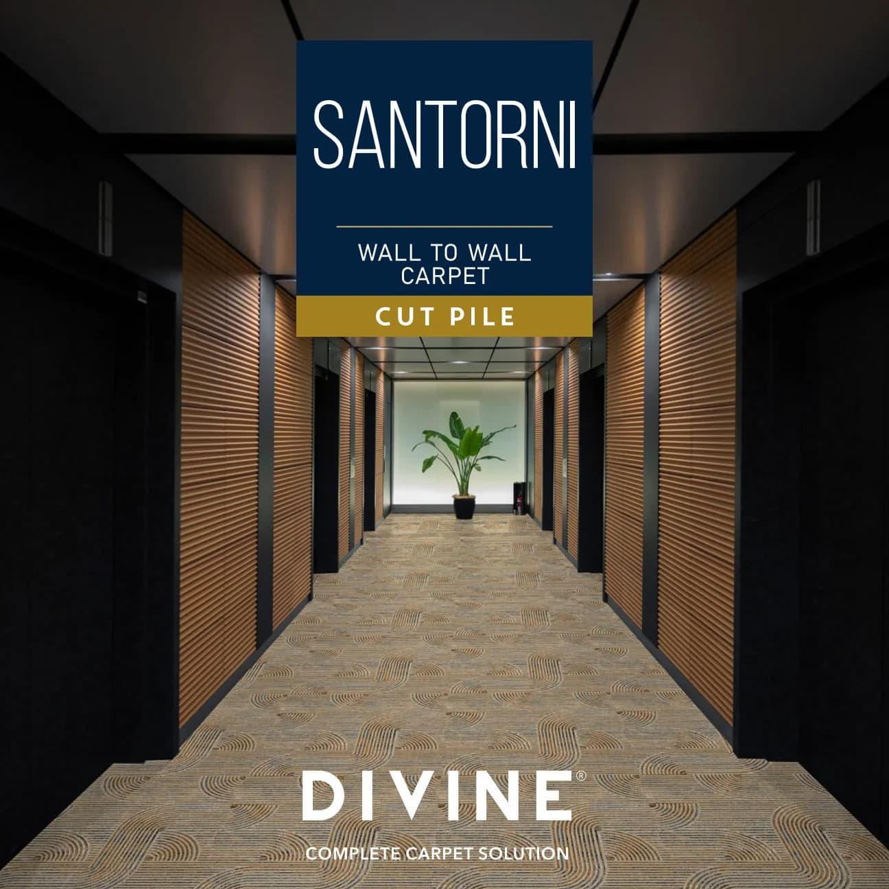 Divine Santorini Broc Carpet Roll - Premium Quality