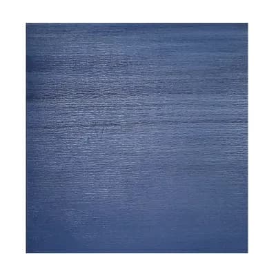 Ruby Blue Wonder Floor - Premium Healthcare Flooring