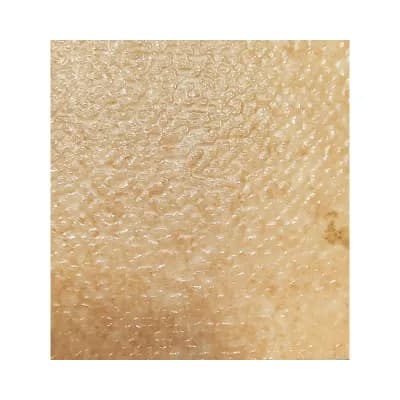 Frosty Beige Wonder Floor Krayons Vinyl Flooring