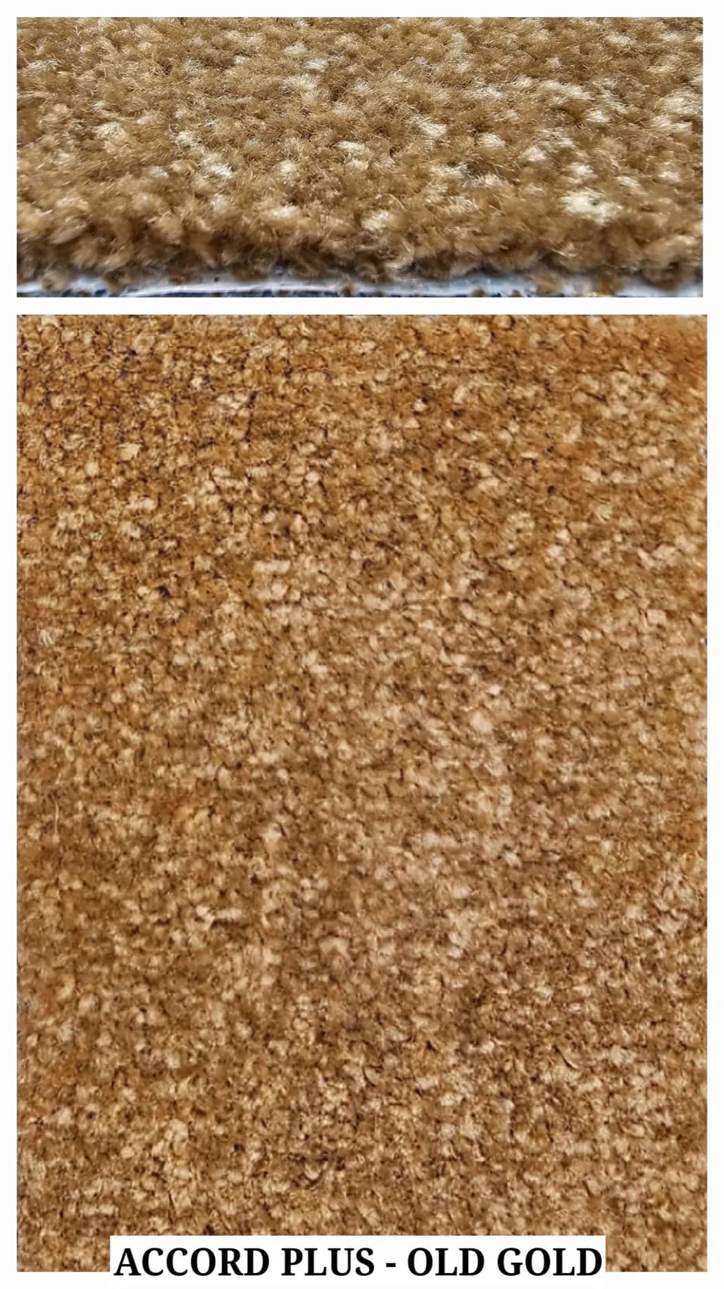 ACCORD PLUS 12ft Carpet Tile Old Gold
