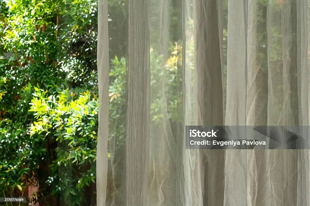 Sheer Fabric