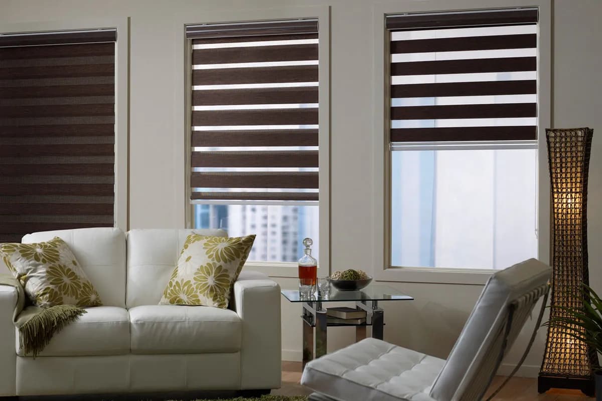 5 Things To Know About Zebra Blinds