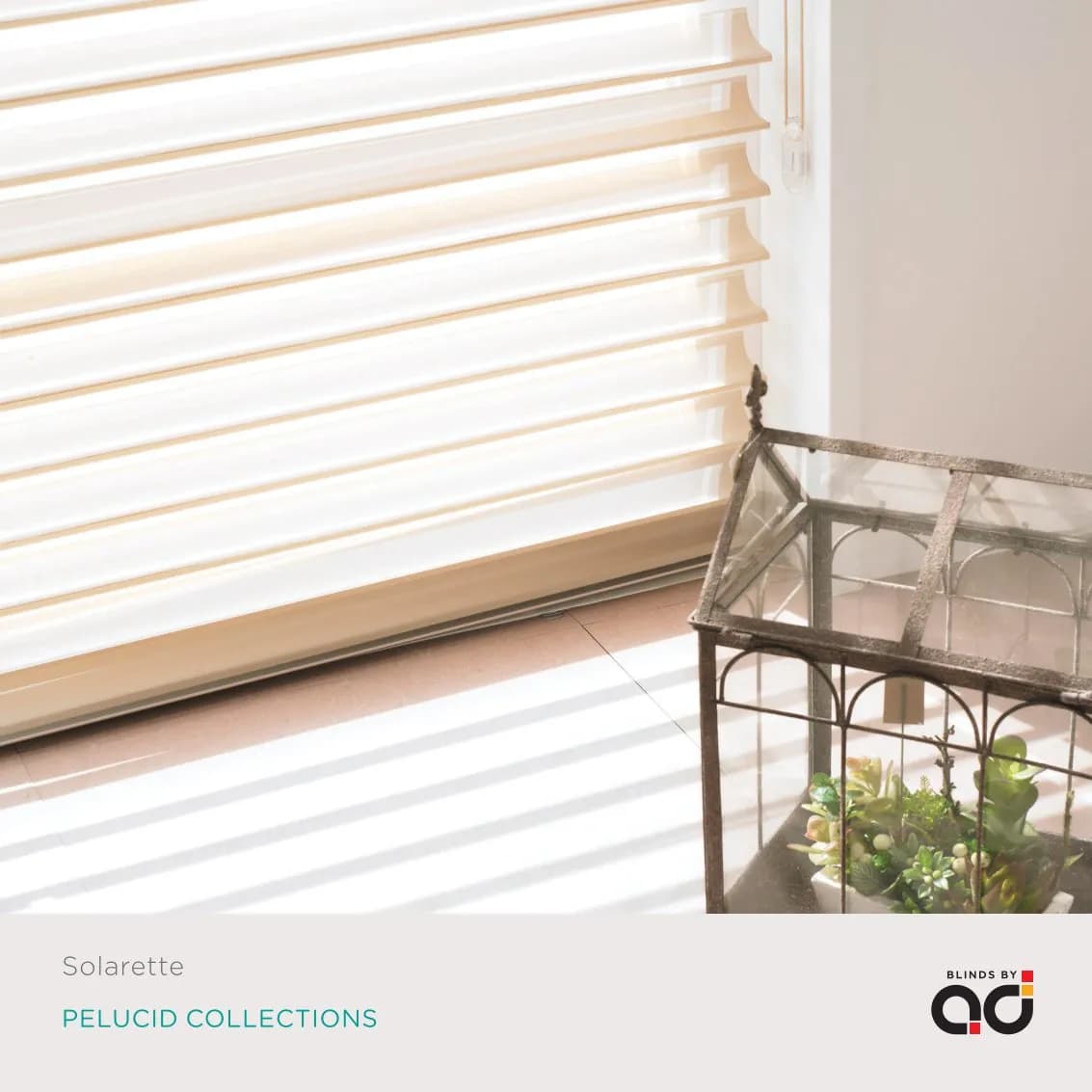 AD Vision Vol-2 PELUCID COLLECTIONS – Stylish & Modern
