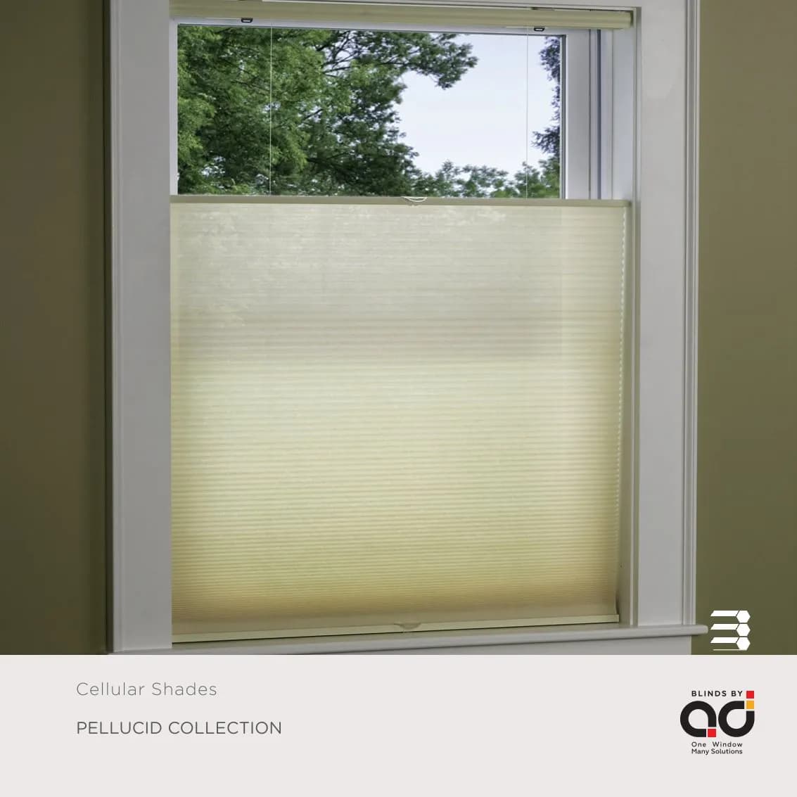 AD Cellular Collection – Stylish & Functional Designs Pellucid Collection