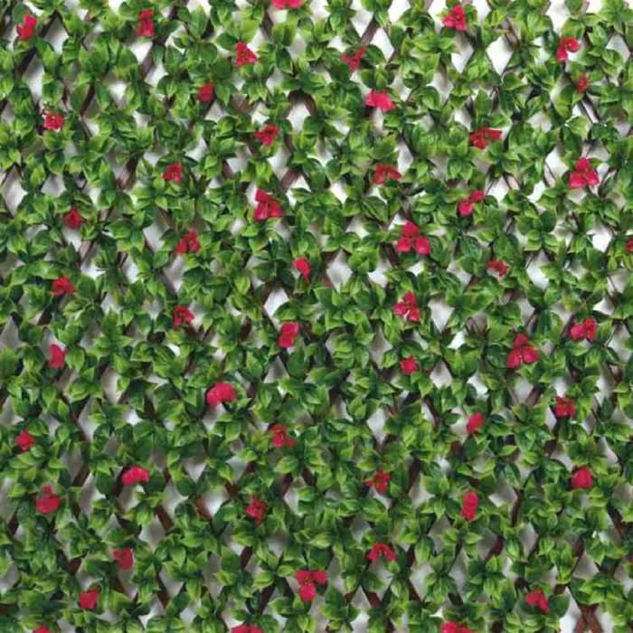 Fyne Surfaces Fyn6001
