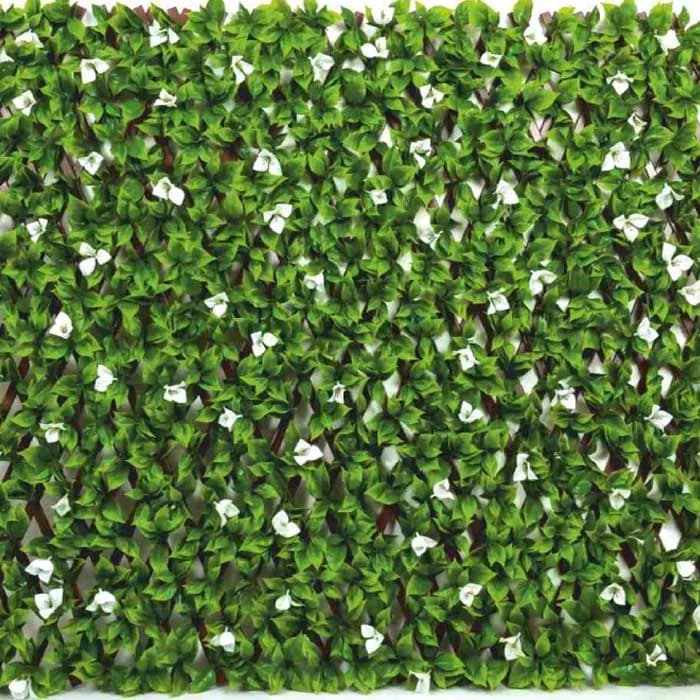 Fyne Surfaces Fyn6002e