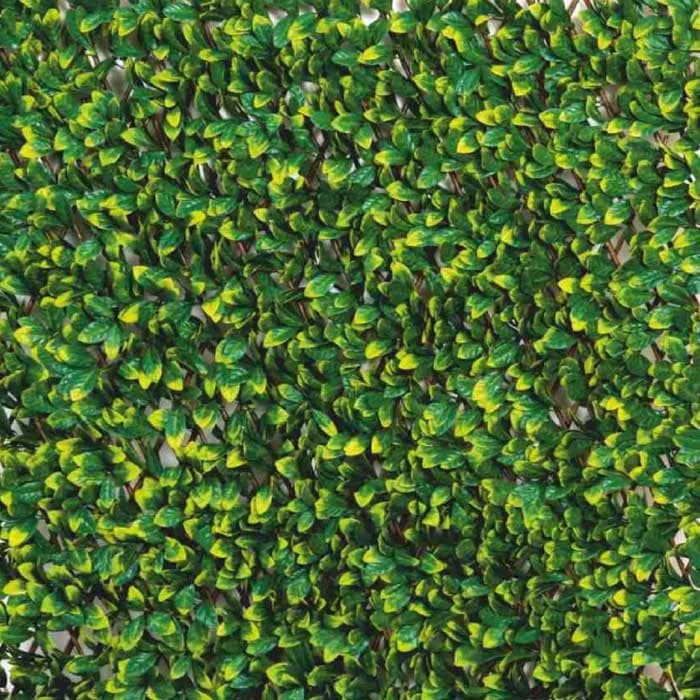 Fyne Surfaces Fyn6006e