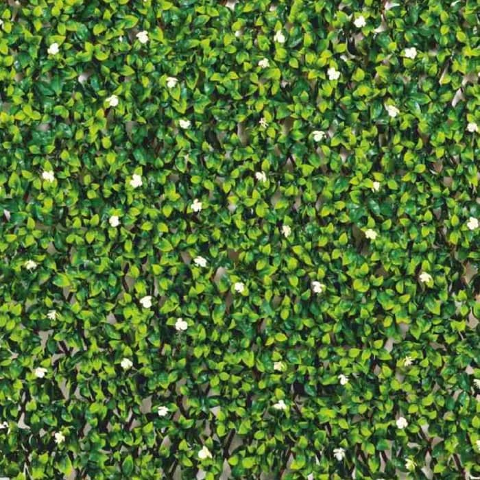 Fyne Surfaces Fyn6007e