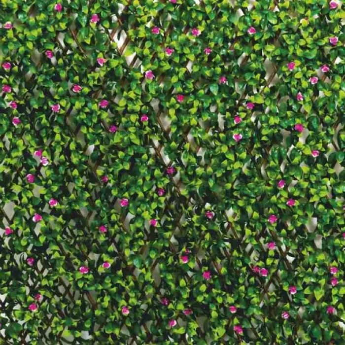 Fyne Surfaces Fyn6008e