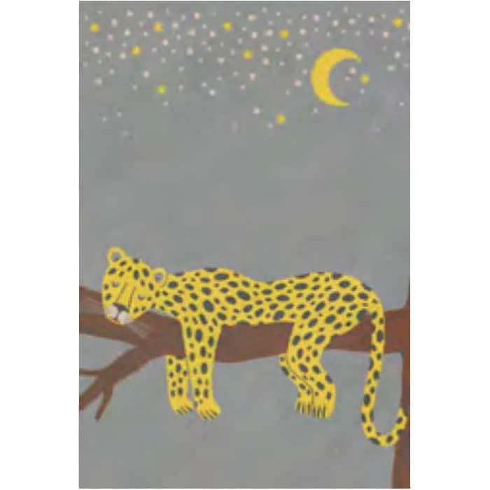 DDecore Rugs Canvas-18425-78