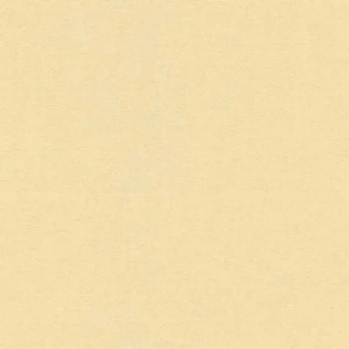 Versace 4- Luxury Wallpapers And Fabric - 370507