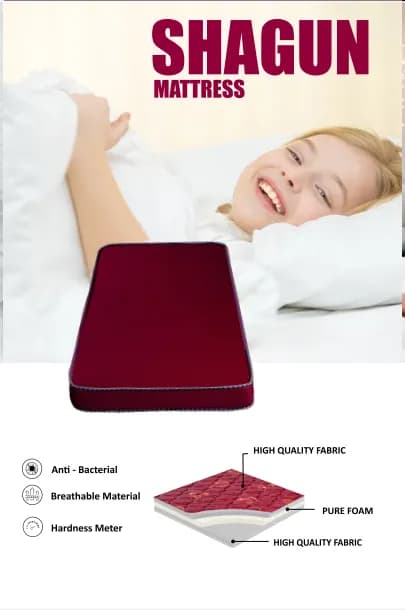 Dreams Shagun Mattress