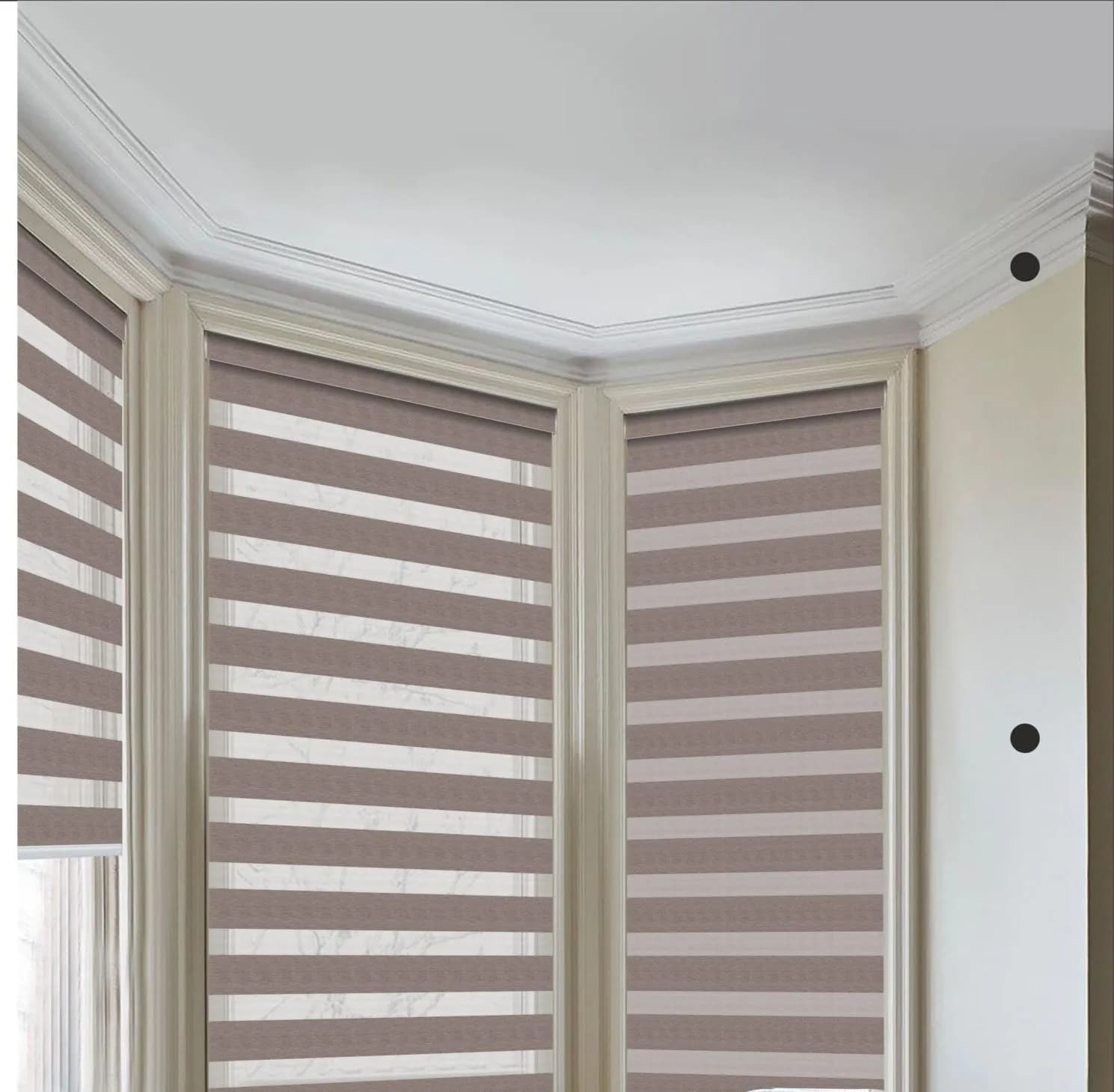 Mia Translucent Marvel Zebra Blind