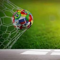 Transform Your Space with ED22071 Sports Addiction Wallpaper