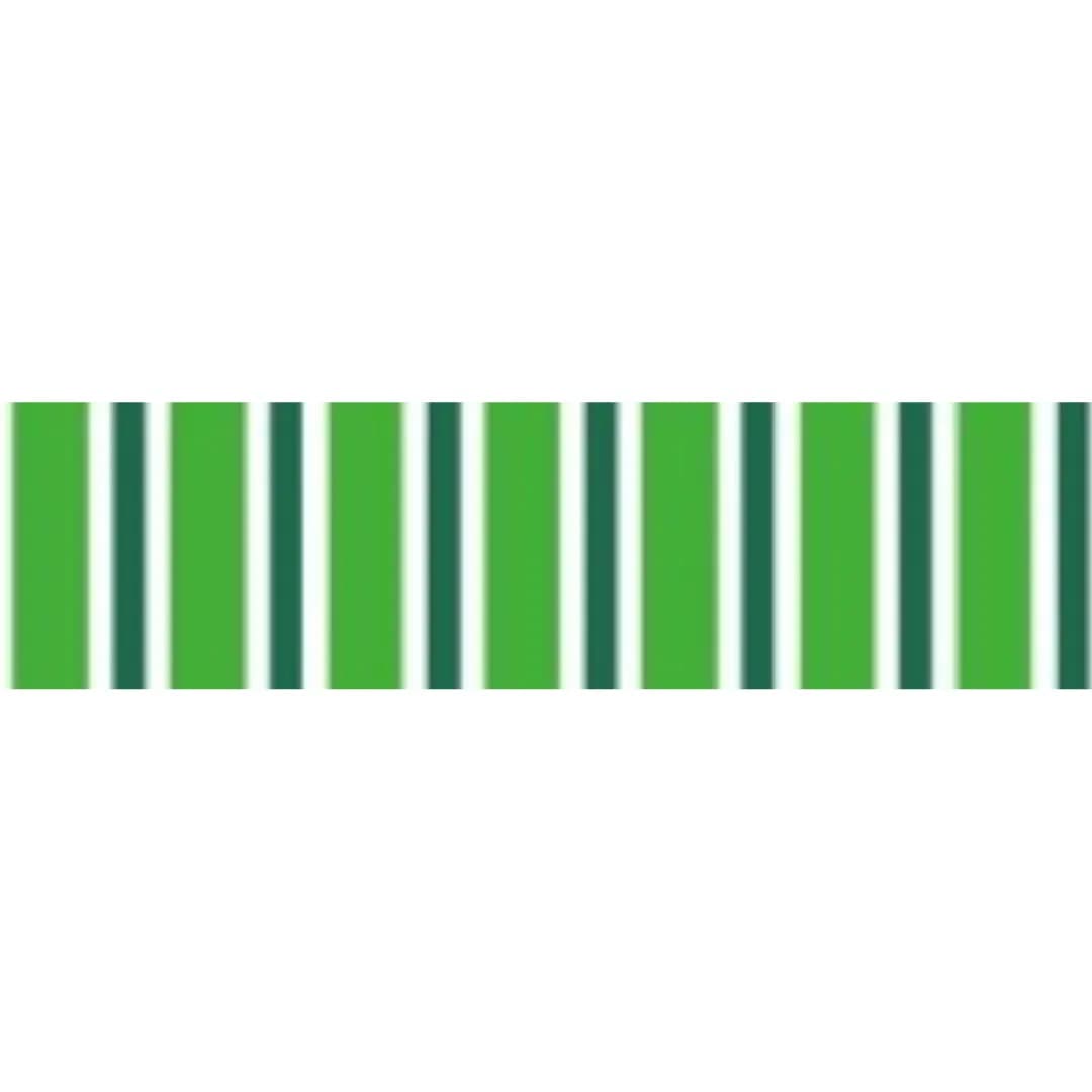 Parrot Green White 541 PVC Awning - Weather-Resistant Shade Solution