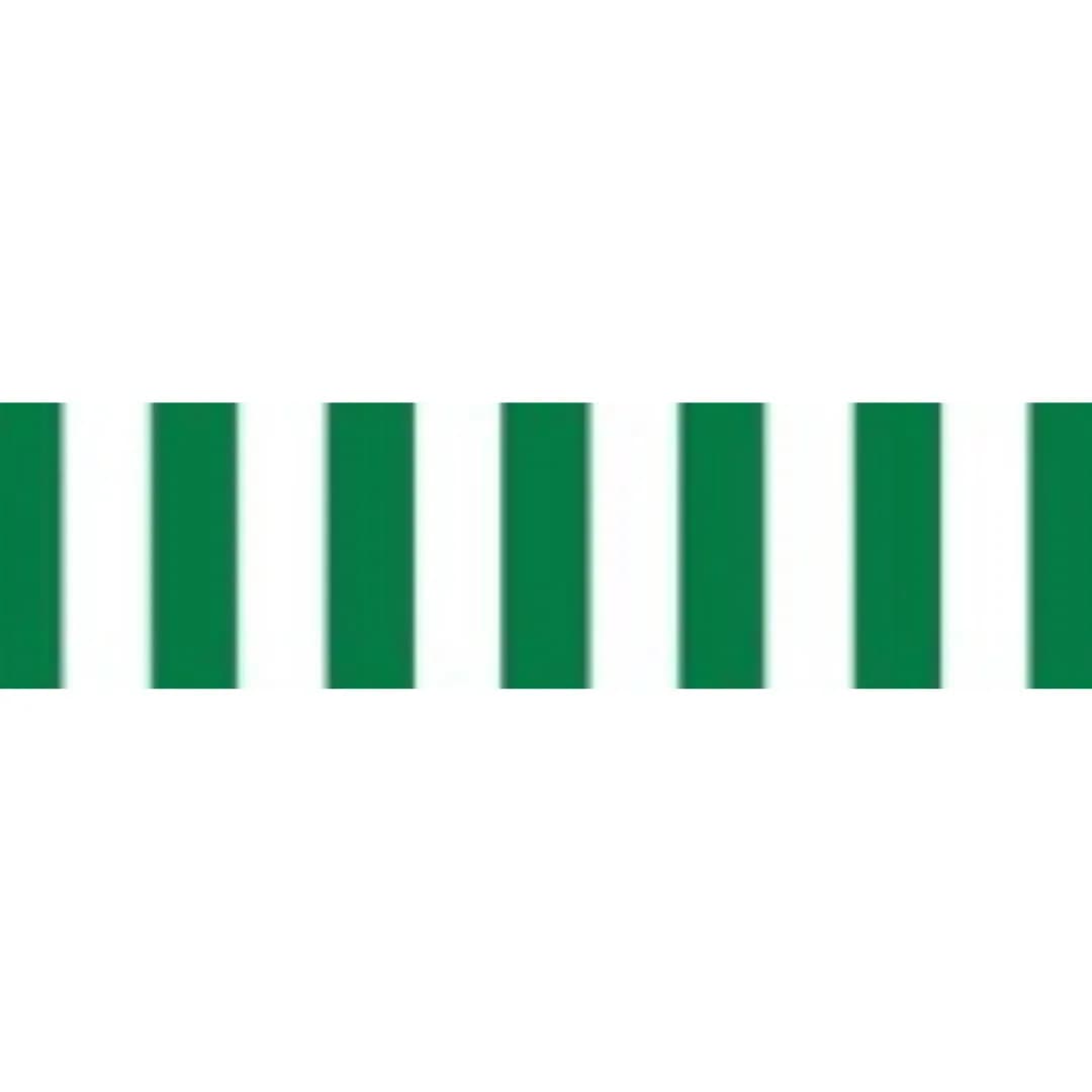 Green White C-903 PVC Awning - Stylish and Durable Outdoor Shade Solution