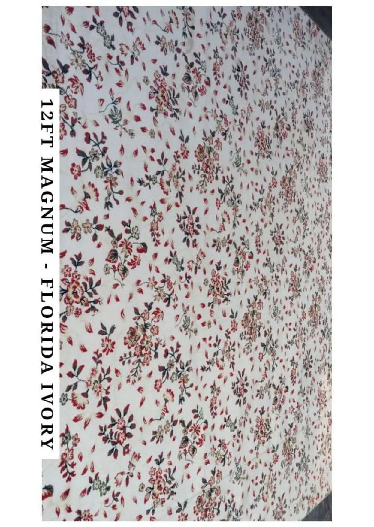 12ft Magnum Silk Carpet - Florida Ivory